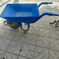 فرغون