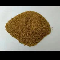 بذر یونجه کشاورز