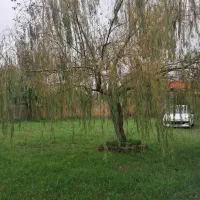 کدگیس عباس/۲۰۰۰متر خانه محوطه نوساز قیمت۶۷۰۰|فروش خانه و ویلا|سنگر, |دیوار