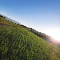 زمین کشاورزی در شهرستان اردل