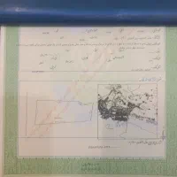 زمین-باغ-سند-تکبرگ-سبز