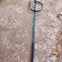 شلاق‌کله‌اسبی