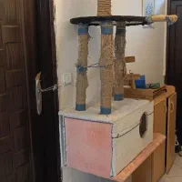 خانه طبقاتی گربه