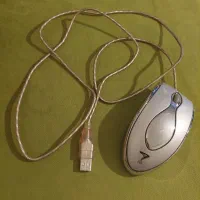 ماوس