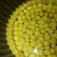 حلزون مولد|خزنده|تهران, ائمه اطهار|دیوار