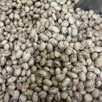 حبوبات قیمت مناسب