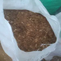 کودمرغی مخلوط خاک اره سیاه|گل و گیاه طبیعی|بندر ترکمن, |دیوار