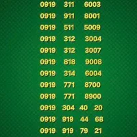 0919-911-8001