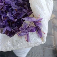 کار گر گل چینی دارم