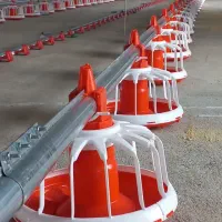 فروش آبخوری و دانخوری گوشتی|لوازم جانبی حیوانات|آمل, |دیوار