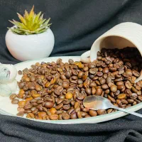 عمده فروشی مواد غذایی|عمده‌فروشی|مشهد, کارمندان دوم|دیوار