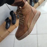 نیم بوت و کتونی جدید|کیف، کفش، کمربند|نیشابور, گنبد سبز|دیوار