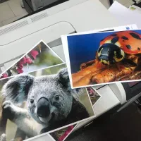 پرینتر رنگی HP Color Laserjet CP4025 در حد نو