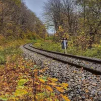 تور دو روزه گرگان و مازندران|تور و چارتر|سبزوار, پاسداران|دیوار