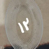 ظرف چینی وانگشتی|ظروف سرو و پذیرایی|سنندج, |دیوار