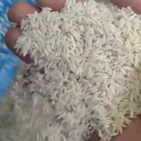 برنج طارم هاشمی درجه یک بارون دیده