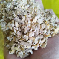 خوراک دام دان آجیلی پرواری  شیری گاو گوسفند بز بره