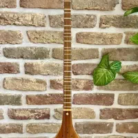 دو عدد ۳تار نو به فروش میرسد