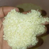 برنج چمپا