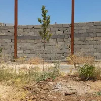 دامداری با کاربری صنعتی|فروش دفتر صنعتی، کشاورزی، تجاری|تویسرکان, |دیوار