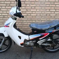 ویو مزایده عروسک
