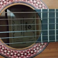 گیتار|گیتار، بیس، امپلیفایر|بندر گز, |دیوار