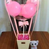 بالن بادکنک نو|اسباببازی|محمدشهر, ولدآباد|دیوار