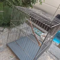 قفس