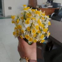 سیم کارت 0912