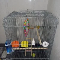 قفس بزرگ با همه ی وسایل