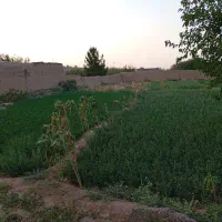 فروش دو دانگ زمین 670متر در محدوده باغهای خواجه