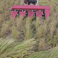 دستگاه دروگر تارو|ماشین‌آلات صنعتی|شفت, |دیوار