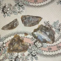 شجر سلیمانی