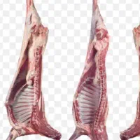 گشتار امروزگوشت خورشتی تیشتر ۷۵۰