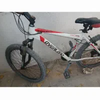 دوچرخه اورلرد