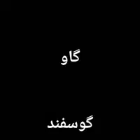 کود