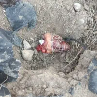 دعا نویس و کتب الدعا مجرب|خدمات پذیرایی، مراسم|برازجان, |دیوار