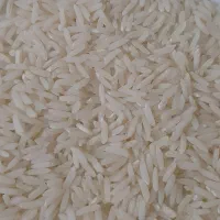 برنج طارم هاشمی محلی امساله و سنگ طارم محلی