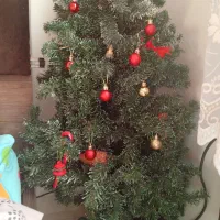 درخت کریسمس