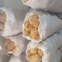 خوراکی ارگانیک زد|حراج|دوتپه, |دیوار