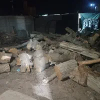 خرید چوب|خدمات باغبانی و درختکاری|کرمان, |دیوار