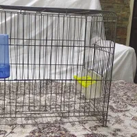 قفس کوچک وبزرگ پرنده جوجه پران|لوازم جانبی حیوانات|تهران, دهقان|دیوار