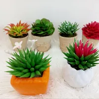 مجسمه دختر .شلف میز تلفن .گل و کاکتوس