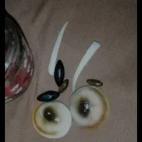 علوم غریبه|فعالیت داوطلبانه|کرج, شهرک سهرابیه|دیوار