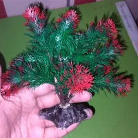 آکواریوم با وسایل