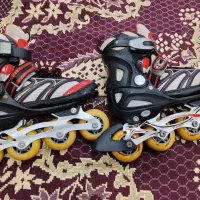 کفش اسکیتی
