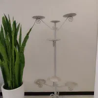 فرفوژه گلدان گل|گل و گیاه طبیعی|فردیس, قریشی|دیوار