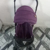 کاسته ورورویک