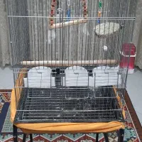 قفس پرنده با پایه چرخ دار