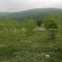 باغ-سیب
